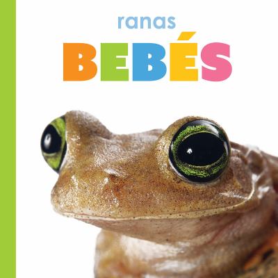 Ranas Bebes (Baby Frogs)