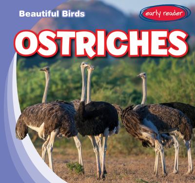 Ostriches