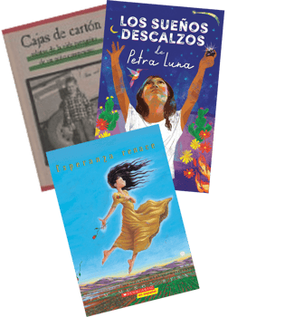 NYC $500 Spanish Library Grade 8