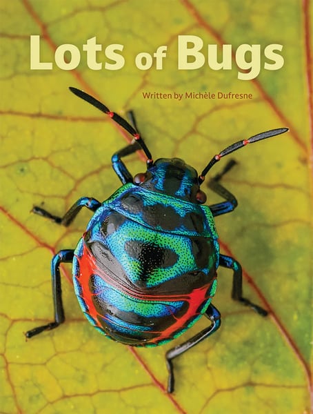 Lots Of Bugs