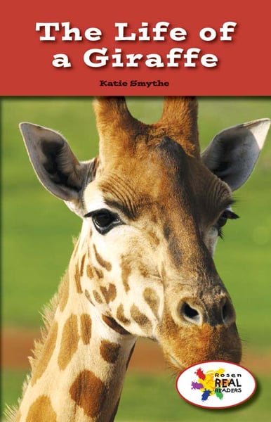 Life Of A Giraffe, The