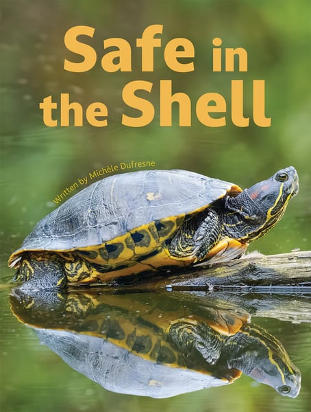 Safe In The Shell