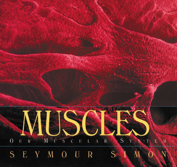 Muscles: Our Muscular System