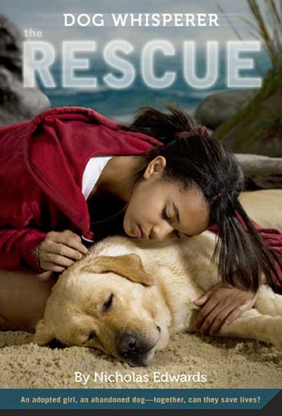 Rescue, The