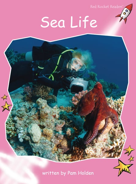 Sea Life