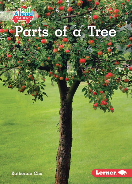 Parts Of A Tree