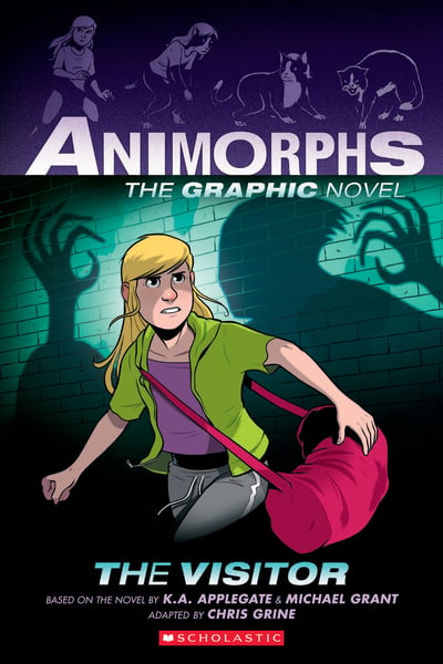 Visitor (Graphic Novel), The