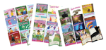 Junior Learning Sound Families Phase 5.5 Complete Set