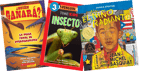 New Books Grade 2 Spanish