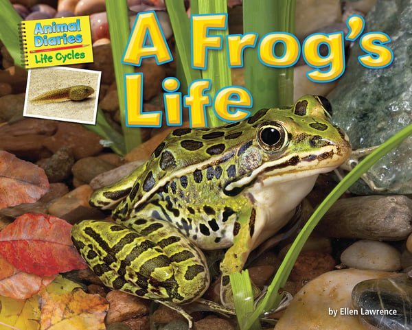 Frog's Life, A