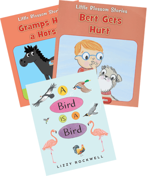 Phonics R-controlled Vowels