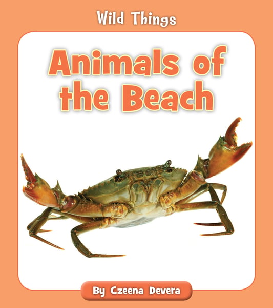 Animals Of The Beach
