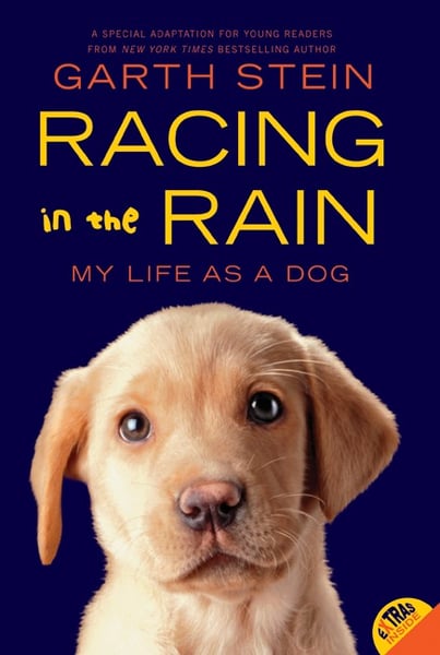Racing In The Rain