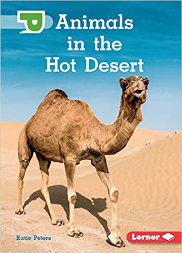 Animals In The Hot Desert