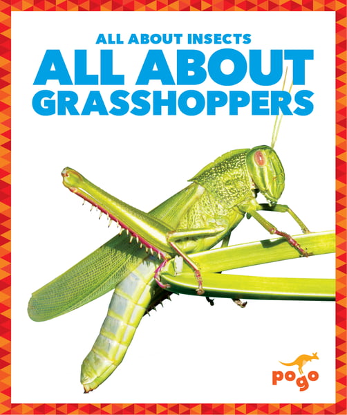 All About Grasshoppers