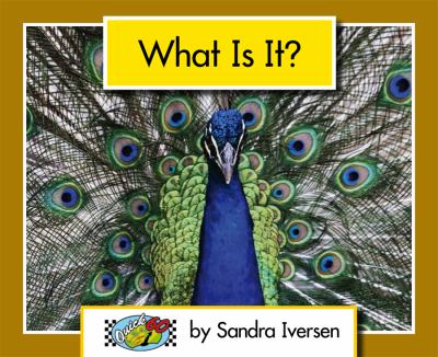What Is It?