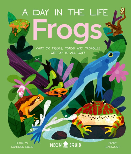 Frogs (A Day In The Life) What Do Frogs, Toads, And Tadploes Get Up To All Day?