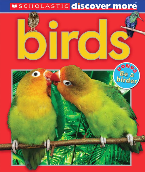 Birds