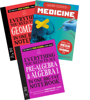 Knowledge Building Grade 8