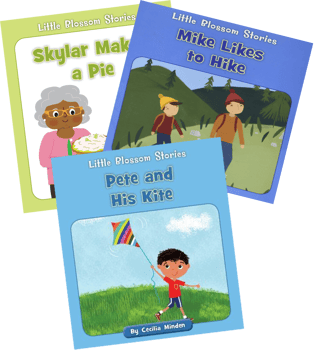 Level B Little Blossoms: Blends, Digraphs & Vowels