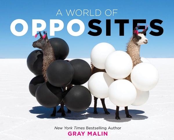 World Of Opposites, A