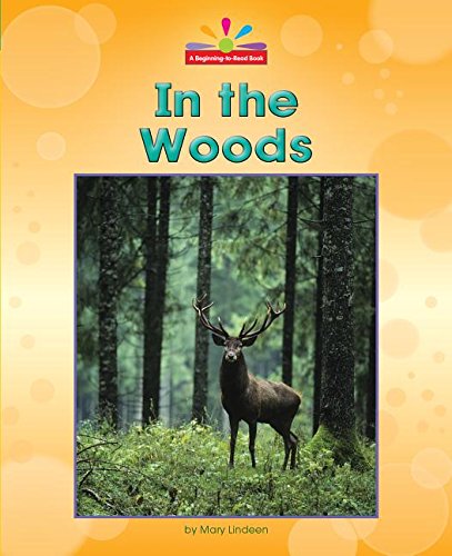 In The Woods