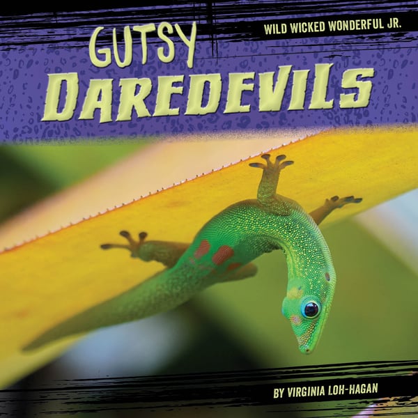 Gutsy Daredevils