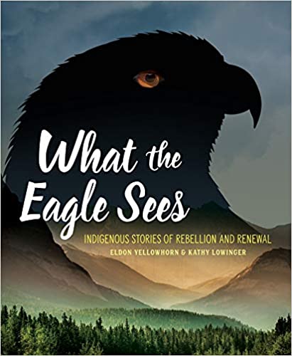 What The Eagle Sees: Indigenous Stories Of Rebellion And Renewal
