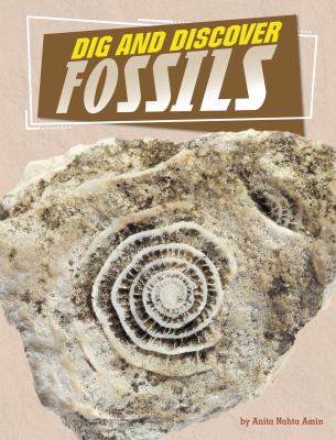 Dig And Discover Fossils