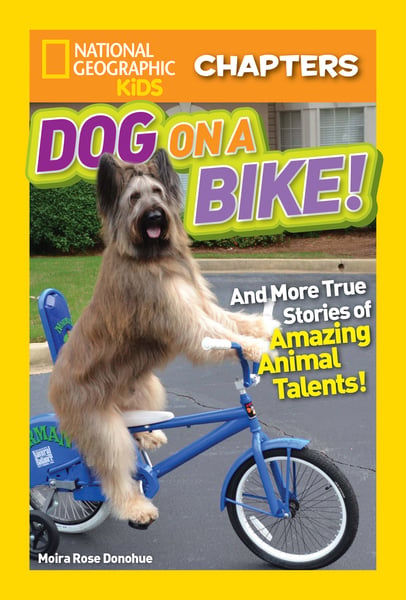 Dog On A Bike