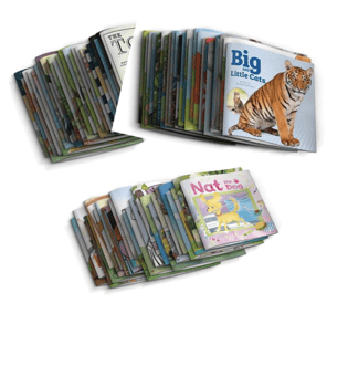 Pioneer Valley Phonics Storybooks
