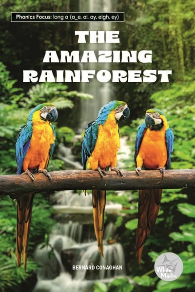 Amazing Rainforest, The