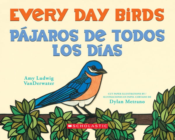 Every Day Birds / Pajoros De Todos Los Dias