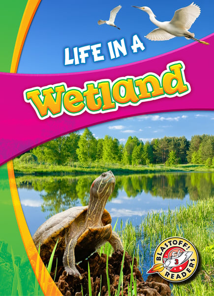 Life In A Wetland