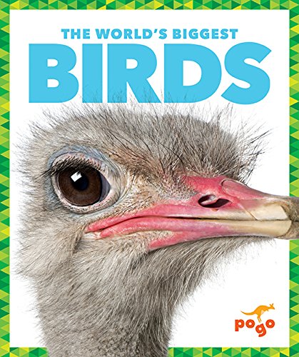 World's Biggest Birds, The