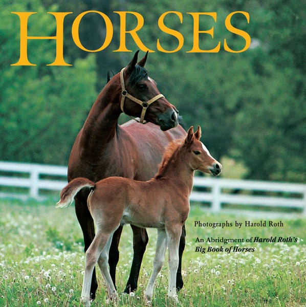 Horses AAB