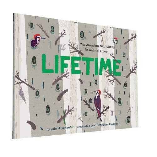 Lifetime: The Amazing Numbers In Animal Lives