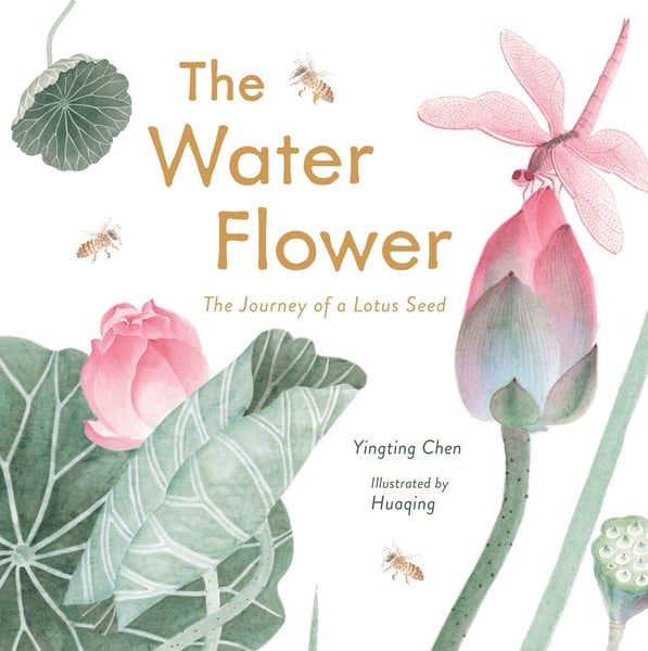 Water Flower: The Journey Of A Lotus Seed, The