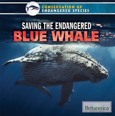 Saving The Endangered Blue Whale