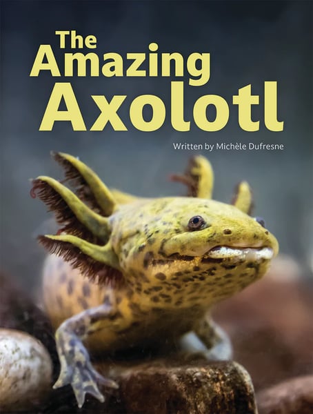 Amazing Axolotl, The