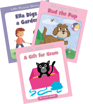 Below Level Realistic Fiction (A-D) Grade 1