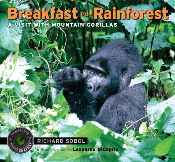 Breakfast In The Rainforest