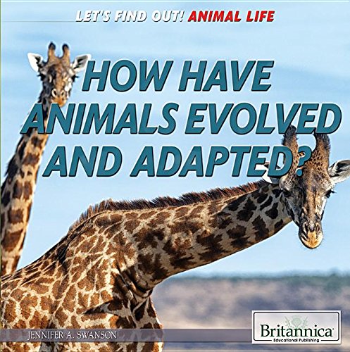 How Have Animals Evolved And Adapted?