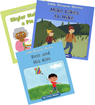 Little Blossom Stories Complete Collection
