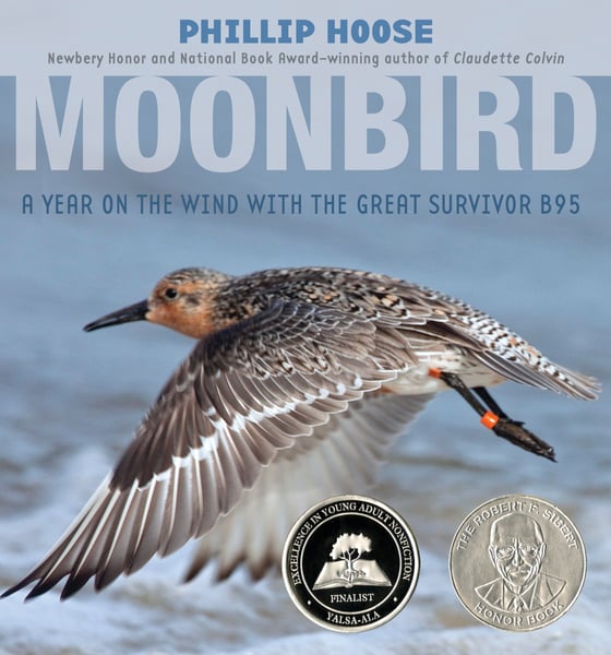 Moonbird: A Year On The Wind With The Great Survivor B95