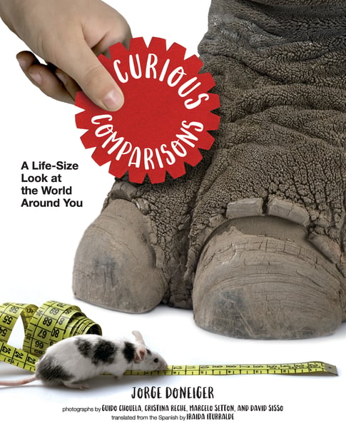Curious Comparisons: A Life-Size Look At The World Around You