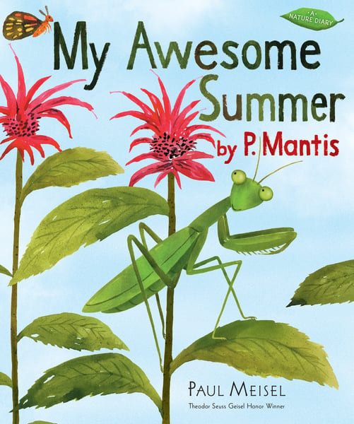 My Awesome Summer By P. Mantis