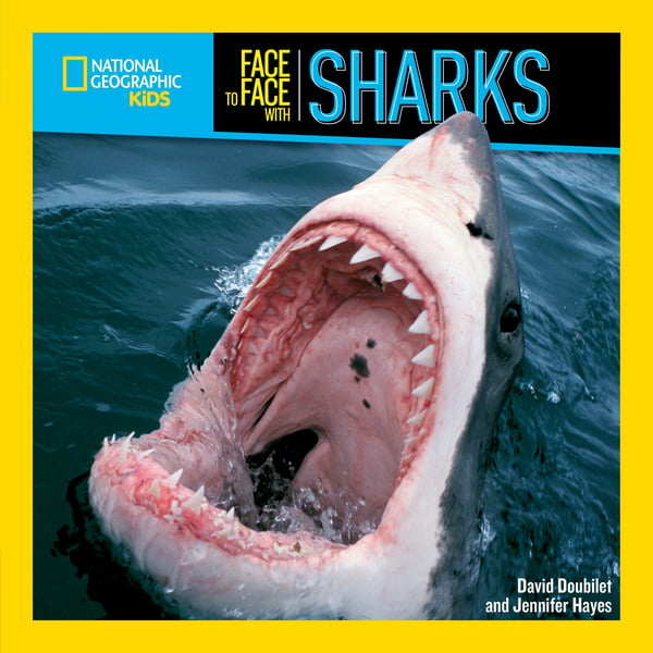 Face To Face With Sharks