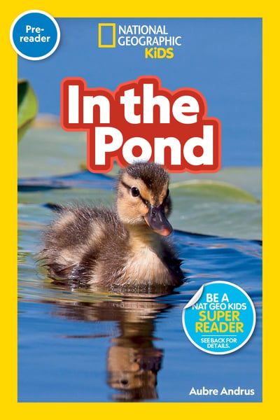 In The Pond