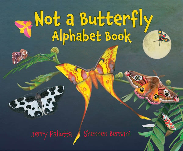 Not A Butterfly Alphabet Book